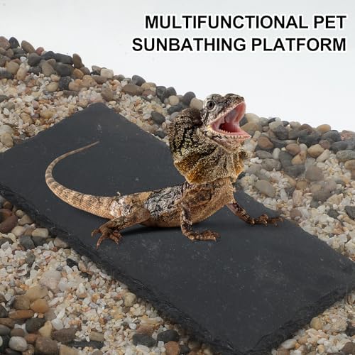 Reptiles Slate Rocks, Basking Surface Reptile Basking Platform, Enhances Climbing Activity, 7.87"x3.94", Black Gray - size: 7.87"x3.94"