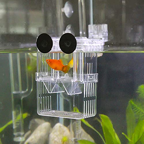 Still Awake Aquarium Fish Breeder Box Plastic Fish Isolation Breeding Box Hatching Incubator Box for Baby Fish Shrimp Clownfish Guppy （L） - size: L
