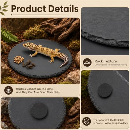 Reptile Basking Platform 5.9 X 5.9 Inch Slate Tortoise Rock Plat | Food Bowl Feeding Dish Tortoise Bathing Resting Terrace Habitat Decor for Turtle Lizard Bearded Dragon Crested Gecko Snake