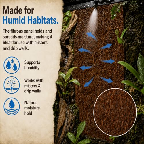 Fernwood - Vivarium and Terrarium Background Panels - 2 Pack - 18x6x.06 | Backdrop For Reptile, Amphibian, and Botanical Tanks - Made from New Zealand Tree Fern - Natural and Fibrous - size: Long 18x6x.06