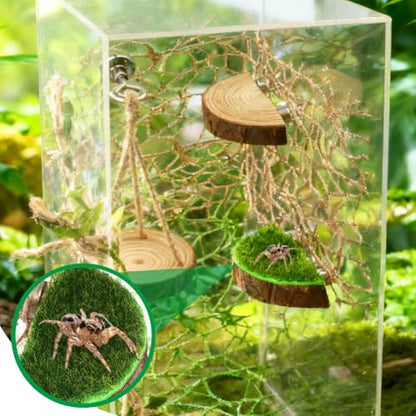 Jumping Spider Habitat Decor Set, 7-Piece Enclosure Climbing Kit | Includes 2 glitter webs, 3 wood platforms, 1 swing, and 1 rope bridge for climbing, resting, and styling enclosures