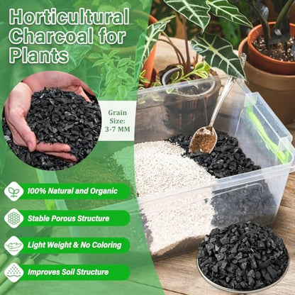 4QT All Natural Horticultural Charcoal- Activated Hardwood Plant Charcoal for Soil Amendment, Conditioning Bonsai Soil, Succulent, Terrarium Supplies, Indoor Plant Potting Soil - color: 4 QT