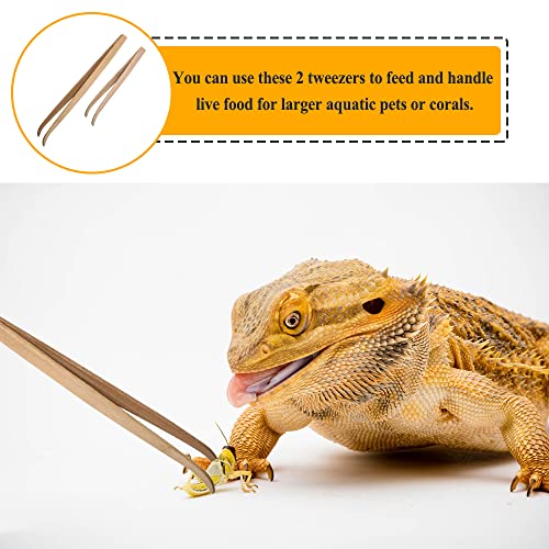 Reptile Feeder Tongs, Bamboo Tweezers for Lizard Gecko | Two-size bamboo tong set keeps hands safely away when feeding lizards, geckos, turtles, iguanas & bearded dragons