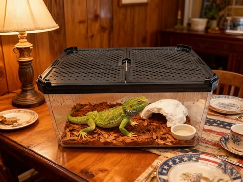 Reptile Terrarium,Tarantula Enclosure,Spider Tank Starter Kit,Leopard Gecko Container,Hermit Crab Habitat,Lizard Enclosure,Insect Housing,Jumping Spider Cage,Small Bearded Dragon Vivarium