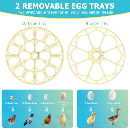 Incubators for Hatching Eggs, 18 Eggs Incubator with Automatic Egg Turning and Temperature Humidity Control, Egg Candler with 360° Viewing for Home, Farm, Classroom, Hatching Chicken, Duck,Quail,Goose