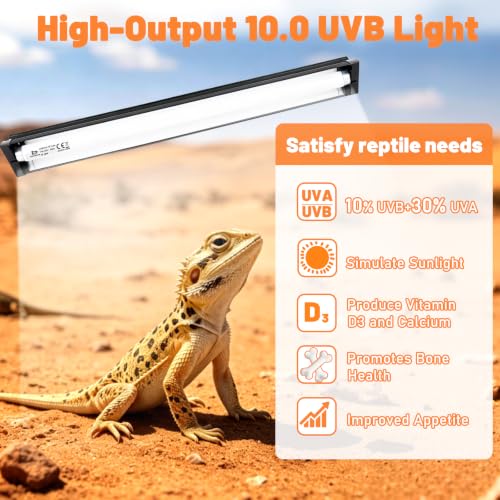 T8 Reptile Light Fixture with 10.0 HO UVB Bulb Lighting 20W, High Output UVB Light for Reptiles Terrarium Hood, 24Inch UVB Light for Desert Bearded Dragon, Lizards, Tortoise Terrarium Tank - size: 24INCH-10.0