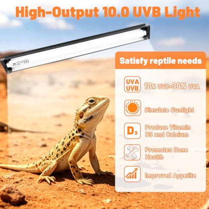 T8 Reptile Light Fixture with 10.0 HO UVB Bulb Lighting 20W, High Output UVB Light for Reptiles Terrarium Hood, 24Inch UVB Light for Desert Bearded Dragon, Lizards, Tortoise Terrarium Tank - size: 24INCH-10.0