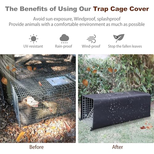 Live Animal Trap Cage with Cover, Heavy Duty Cat Trap for Stray Cats | Folding Skunk Traps Cage with Real Door for Raccoon, Groundhog, Skunk, Feral Cats, Squirrel-(32 x 10 x 12 inches)