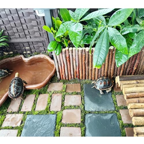 Reptile Basking Platform 6 × 6", Extra Large Reptile Slate, Basking Rock, Slate Tiles Rocks for Reptiles, Terrarium Bowls for Bearded Dragon Tortoise Turtle Ball Python Snake Lizard Gecko - size: 6 × 6 IN