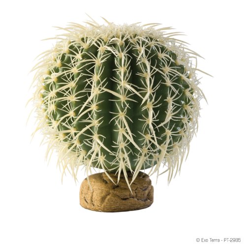 Exo Terra Barrel Cactus Terrarium Plant, Medium | Terrarium Plant - size: Medium, style: Barrel Cactus