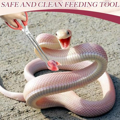 2 Pcs Snake Feeding Tongs 15 Inch Extra Long Stainless Steel Reptile Feeding Tongs, Curved Mouth & Straight Mouth for Ball Python, Fish Aquariums, Reptiles Snakes, Tank Accessories Terrarium Supplies