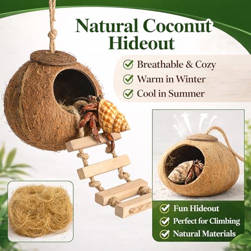 HERCOCCI Gecko Tank Accessories, Hermit Crab Toys Coconut Shell | Natural Coconut Husk Hut with Climbing Ladder with Suction Cup for Leopard Gecko Snake Reptiles