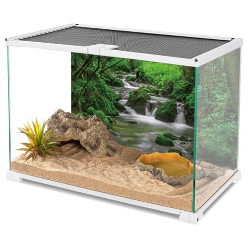 AWERT 24x12 inches Forest Terrarium Background Stream Green Huge Tree Reptile Habitat Background Stone Stream Tree Background Tropical Rainforest Aquarium Background - size: 24x12in/60x30cm