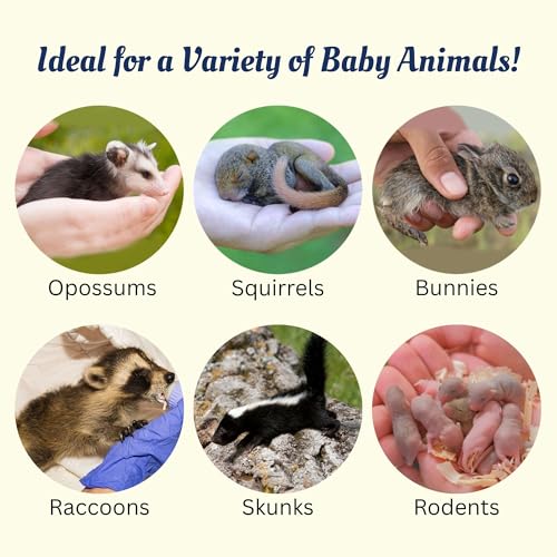 Exotic Nutrition Baby Squirrel Nursing Set (Basic) - Milk Replacer, Feeding Syringes - size: Basic