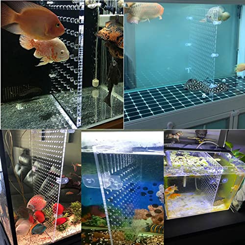Aquarium Fish Tank Divider Acrylic Isolation Grid Board with Suction Cups Included Clear Fish Separator Transparent Plate Baffle Cover Blocking Fish Partition Net 30x40cm/11.81x15.74in - size: 30x40cm
