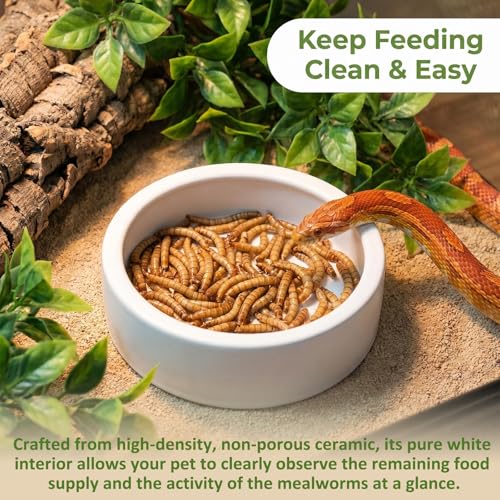 3 Pack Escape Proof Reptile Feeding Dish, Reptile Food and Water Bowl, Ceramic Worm Dish for Bearded Dragon, Lizard, Gecko