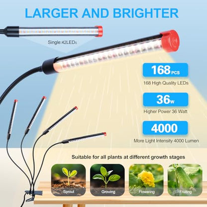 FECiDA Gamechanger 2026 36 Watt Power Draw, NO Need Adapter, 4Head Strong Clip Grow Lights for Indoor Plants with 4/8/12/16/20H Timer, LED Plant Growing Lamps for Houseplants, Bonsai, Seed Starting - size: Clip-4Head-36W