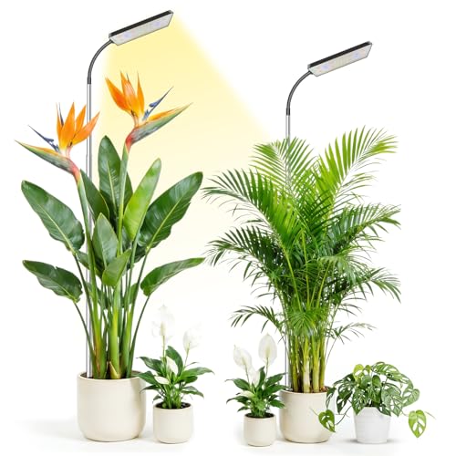 Plant Lights for Indoor Growing, 306LEDs Full Spectrum Grow Light | 7.9in Grow lights, 10-65in Height Adjustable for Growing Large Plants, 6/12/16 Timer,5 Dimmable Levels, 3 light Modes.2 Pack - size: 2 Pack