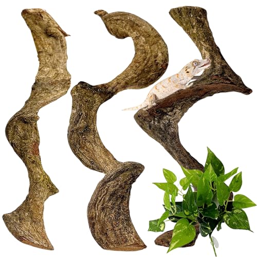 BNOSDM 3PCS Natural Reptile Climbing Branches Decor,0.8-1.2" Thick Snake Climbing Forest Wood with Plant Leaf Decor,Lizard Forest Branch,Geckos Tank Tree Trunk Accessories for Bearded Dragons - size: 3PCS|S:0.75-1.25"T,13"H