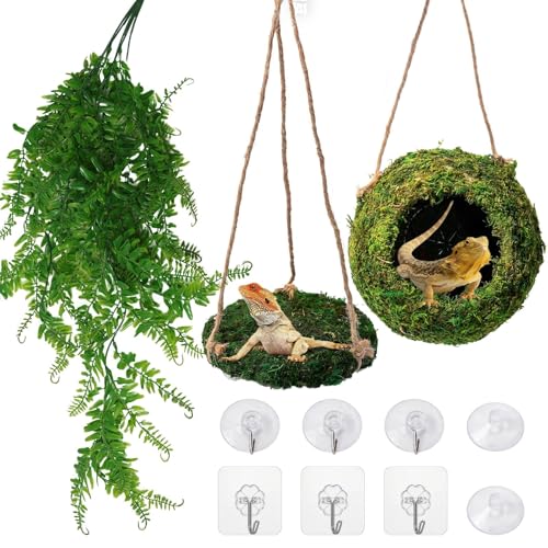 Green Reptile Cave Hide, Platform Shelter for Lizard Gecko Snake