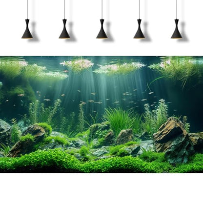 Underwater Aquatic Seagrass Aquarium Background Under The Sea Grass Leaves Lush Green Moss Fish Tank Background Deep Sea Rock Cork with Foggy Misty Sunbeams Terrarium Backgrounds Wallpaper 30x12in - size: 30(W)x12(H)inches/ 75(W)*30cm(H)