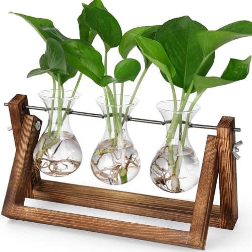YIBOT Propagation Stations,Plant Terrarium with Wooden Stand-3 Glass Vases | Unique Gardening Birthday Gifts for Women Mom Plant Lovers, Indoor Hydroponics Plants Home Office Garden Desk Decor - size: 3Vase-B