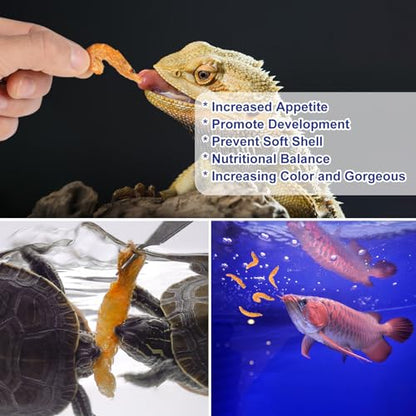 Freeze-Dried Antarctic Krill, High-Protein Reptile and Fish Food, 4 oz | Single ingredient, no additives, rich aroma, crunchy texture, suitable for turtles, bearded dragons, fish and amphibians