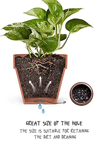 LE TAUCI Plant Pot Hole Mesh Pads, 2-Inch Round Flower Pot Drainage Covers, Prevent Soil Loss, Durable Reusable, Bonsai Bottom Grid Mat, Gardening Essentials, 50-Pack - size: 2*2 inches