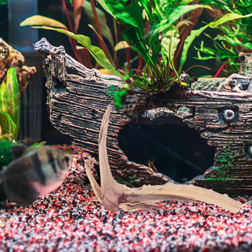 BESPORTBLE 1Pcs Natural Aquarium Driftwood : Spider Wood Branch - Reptile Tank Decor Accessories for Fish Bearded Dragon Turtle Terrarium 5.9In, Gift for Pet Lovers