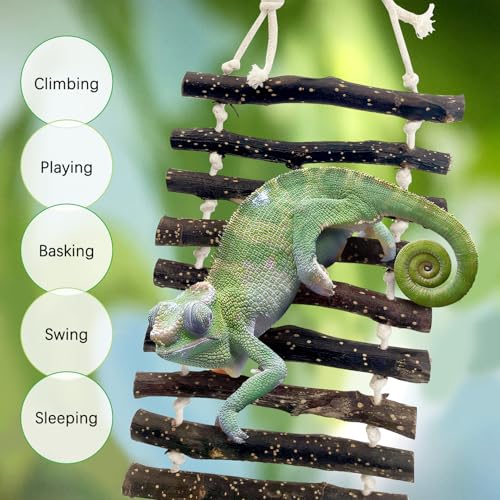 BNOSDM Large Reptile Bridge Hanging Bearded Dragon Climbing Ladder Suction Cup Lizard Lounger Wooden Gecko Tank Accessories for Chameleons Snakes Frog Hermit Crab (23.6 x 5.9 inches) - color: 1pc-Applewood