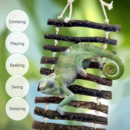 BNOSDM Large Reptile Bridge Hanging Bearded Dragon Climbing Ladder Suction Cup Lizard Lounger Wooden Gecko Tank Accessories for Chameleons Snakes Frog Hermit Crab (23.6 x 5.9 inches) - color: 1pc-Applewood