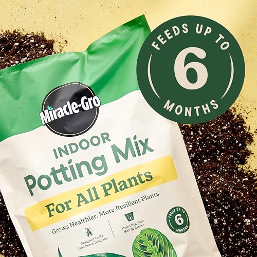 Miracle-Gro Indoor Potting Mix for All Plants, 6 qt., 2-Pack | Use with Houseplants and More, Feeds for up to 6 Months - size: 6 qt (2-Pack), style: 6 QT
