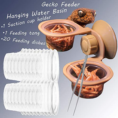 Gecko Feeding Ledge Suction Cup Feeder with 20 Pack 1 oz Feeder Cups and Feeding Tong for Small Reptiles