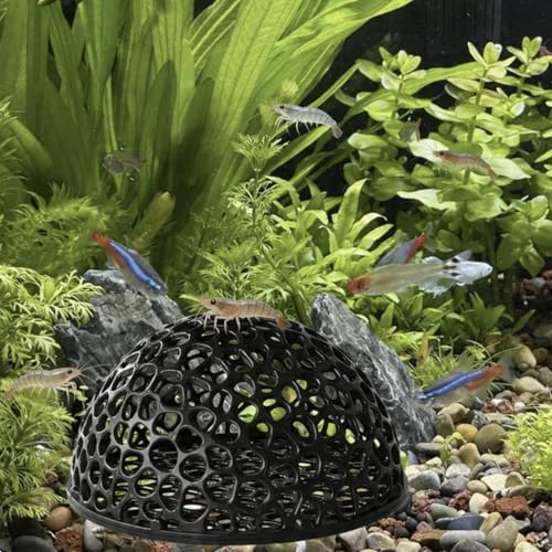 5-piece Aquarium Shrimp Tank Set with Tunnels and Caves for Shrimp Hiding