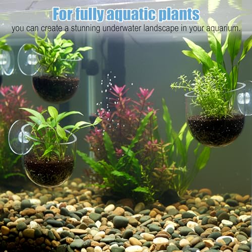 3 Pack Clear Fish Tank Plant Holder Aquatic Plant Cups Fishes Tanks Plants Pot Acrylic Aquarium Plants Holder with Suction Cups for Home Aquariums Aquascape Decor, Red Worm Fish Shrimp Feeder