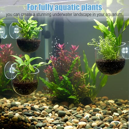 3 Pack Clear Fish Tank Plant Holder Aquatic Plant Cups Fishes Tanks Plants Pot Acrylic Aquarium Plants Holder with Suction Cups for Home Aquariums Aquascape Decor, Red Worm Fish Shrimp Feeder