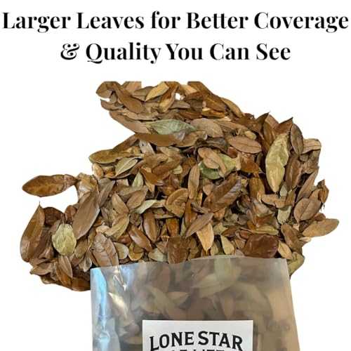 Texas Live Oak Leaf Litter for Reptiles, Bioactive Substrate, Leaf Litter for Isopods, Natural Habitat Enrichment, Terrariums and Vivariums, (1 Gallon) - size: 1 gallon - standard