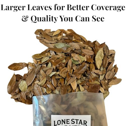 Texas Live Oak Leaf Litter for Reptiles, Bioactive Substrate, Leaf Litter for Isopods, Natural Habitat Enrichment, Terrariums and Vivariums, (1 Gallon) - size: 1 gallon - standard