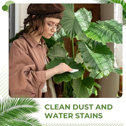 Nuanchu 12 Pack Plants Cleaning Wipes for Indoor Plants, Plant Leaf Cleaner and Shine Wipe, Unscented Thick Photosynthesis Wipes Leaf Cleaner for House Indoor & Outdoor (120ct)