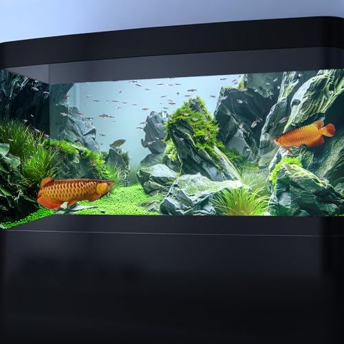 Marine Aquarium Background, Sea Rock Green Landscape Fish Tank Background, Nature Photo Terrarium Background 36X24IN with 8 EVA Double-Sided Tape - size: 36X24in/90X60cm