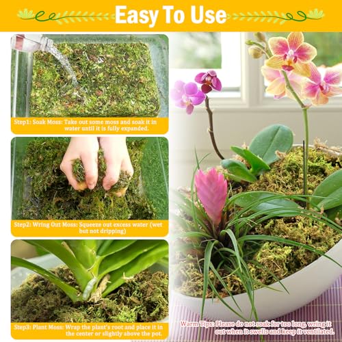 Riare 1.3LB Premium Sphagnum Moss for Plants- 25QT Natural Dried Plant Moss | Moisture Retention & Drainage Orchid Moss for Repotting, Succulents, Carnivorous, Ferns, Green Moss for DIY Craft, Reptiles - size: 25 QT(Appx.1.3lbs)
