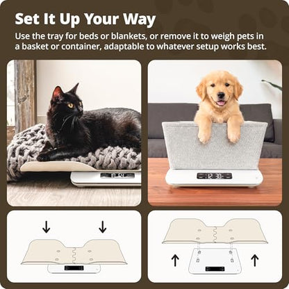 Greater Goods Wiggle-Proof Digital Pet Scale for Cats, Dogs & Small Animals | Weighs Puppies, Kittens & Senior Pets up to 44 lb, Removable Tray, Tare Function, Measures in lb, oz & kg for Growth Tracking