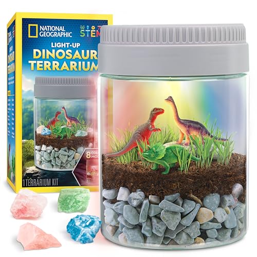 National Geographic Light-Up Dinosaur Terrarium Science Kit for Kids | Multicolor Light, Real Plants, Dinosaur Habitat, Real Gemstones, DIY Nature Activity, Science Learning Toy, Birthday Gift - style: Dino Habitat