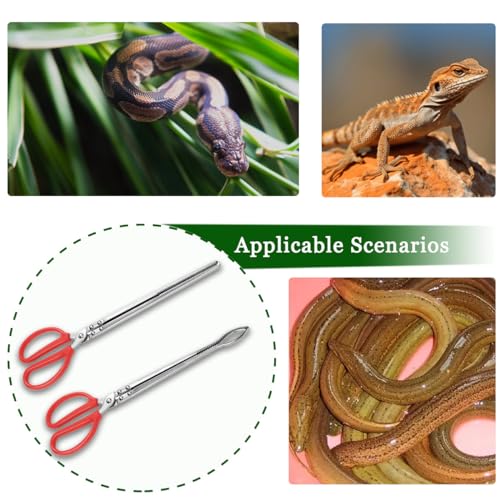 2pcs Snake Feeding Tongs, 15 inch Snake Hook Snake Grabber Tool Snake Stick Reptile Tongs for Bearded Dragon Snake Reptile Gecko Tank Accessories Terrarium Supplies