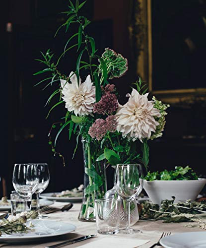 WGV Unique Bouquet Vase, 5" W, 12" H, Clear Glass Tall Floral with Flared Oval Opening, Centerpiece, Home Wedding Event Decor, 1 Piece (VCK0912) - size: Concaved 12"H