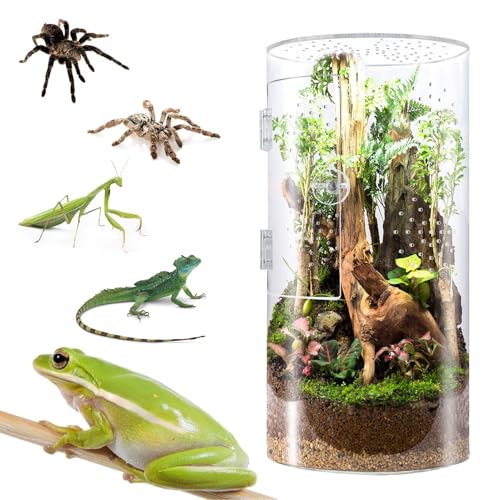 Cryfokt Tall Arboreal Tarantula Enclosure, Acrylic Jumping Spider Enclosure with Front Opening Door for Reptiles Lizards Snails, 6 x 6 x 12in Terrarium with Latch 360 Visibility