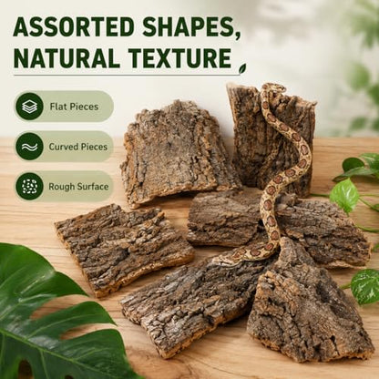 SHINEOFI 4 Pack Natural Cork Bark Reptile Hides for Terrariums | Random-shaped bark pieces for hides, basking platforms and enclosure landscaping for geckos, lizards, snakes and tortoises