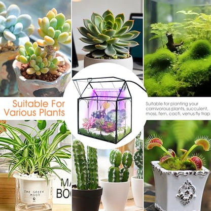 RIFNY Plant Terrarium with Grow Light, Glass Terrarium 7.1 x 4.8 x 8.8 Inch | Terrarium with LED Grow Light and Absorbent Mat for Venus Fly Trap Succulent Live Air Plants Indoor Home Office Decor - size: Black-Small with Plant Light