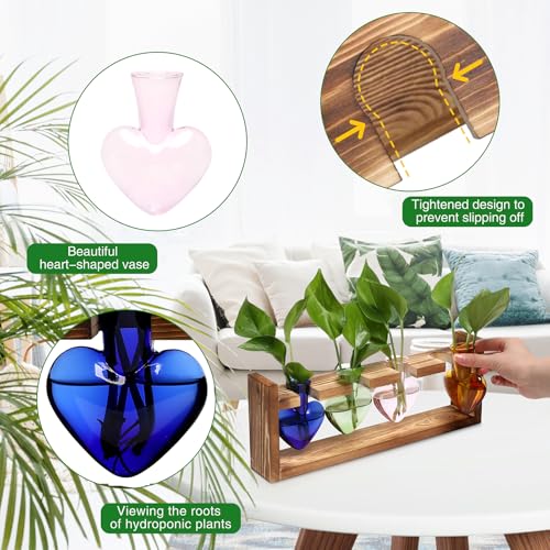 Plant Propagation Stations Heart Plant Terrarium Kit | Gift for Women Plant Lover Glass Vases - color: Color02