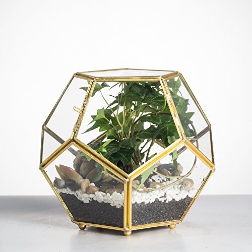 NCYP Glass Geometric Terrarium Planter with Door and Foot, Pentagon Ball Shape Glass Terrarium for Fern, Succulents, Small Plants, Gold, 6.8 x 6.8 x 5.9 inches (No Plants)